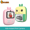 Rabbit Photo Printing Camera